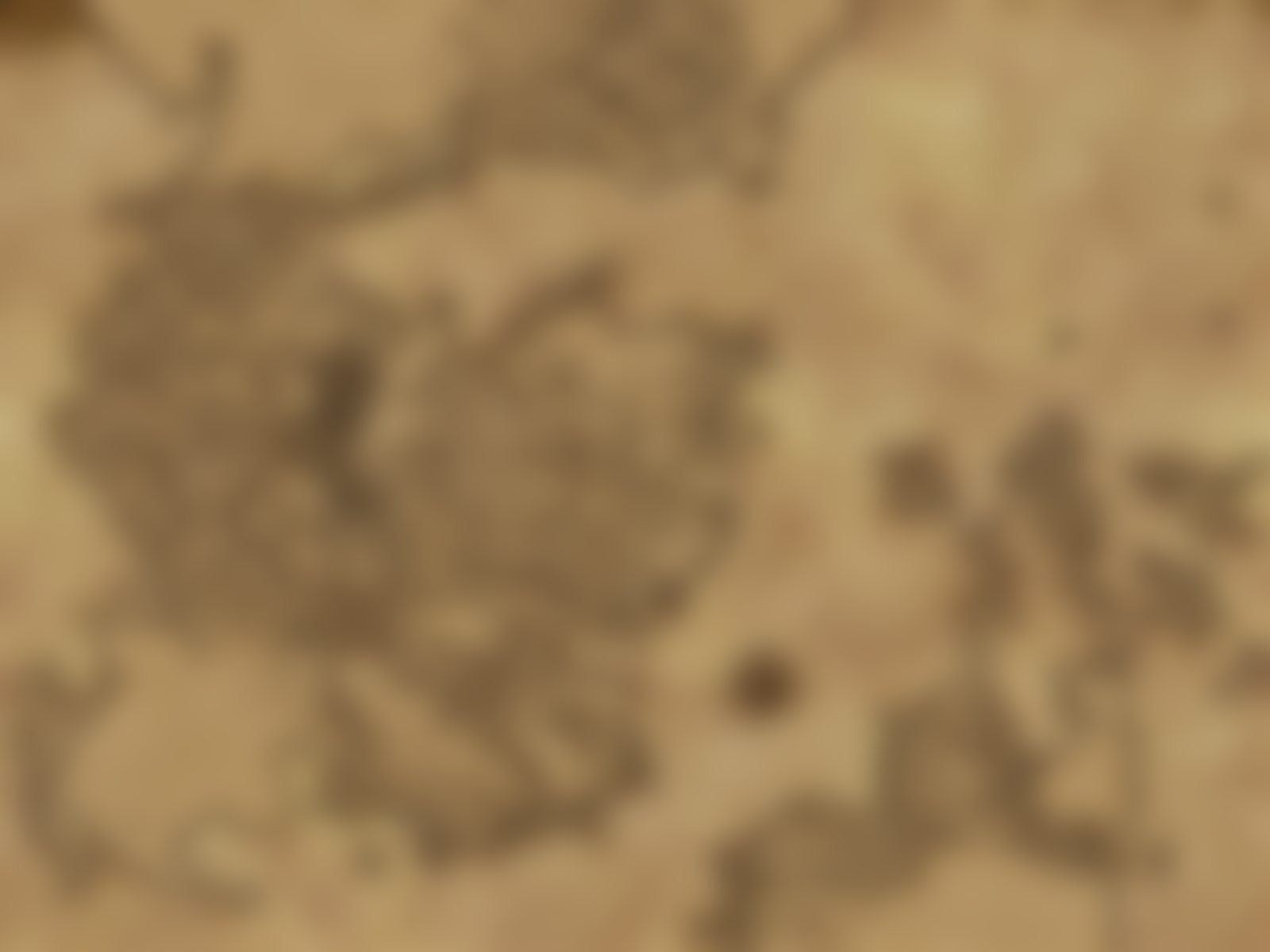 Map of Elyndar — full reveal forthcoming